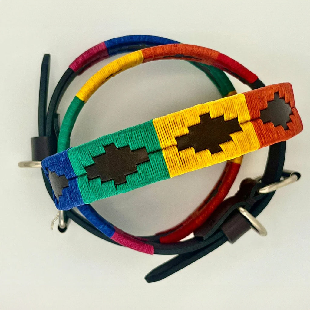 Rainbow Pride Dog Collar - Vakiano
