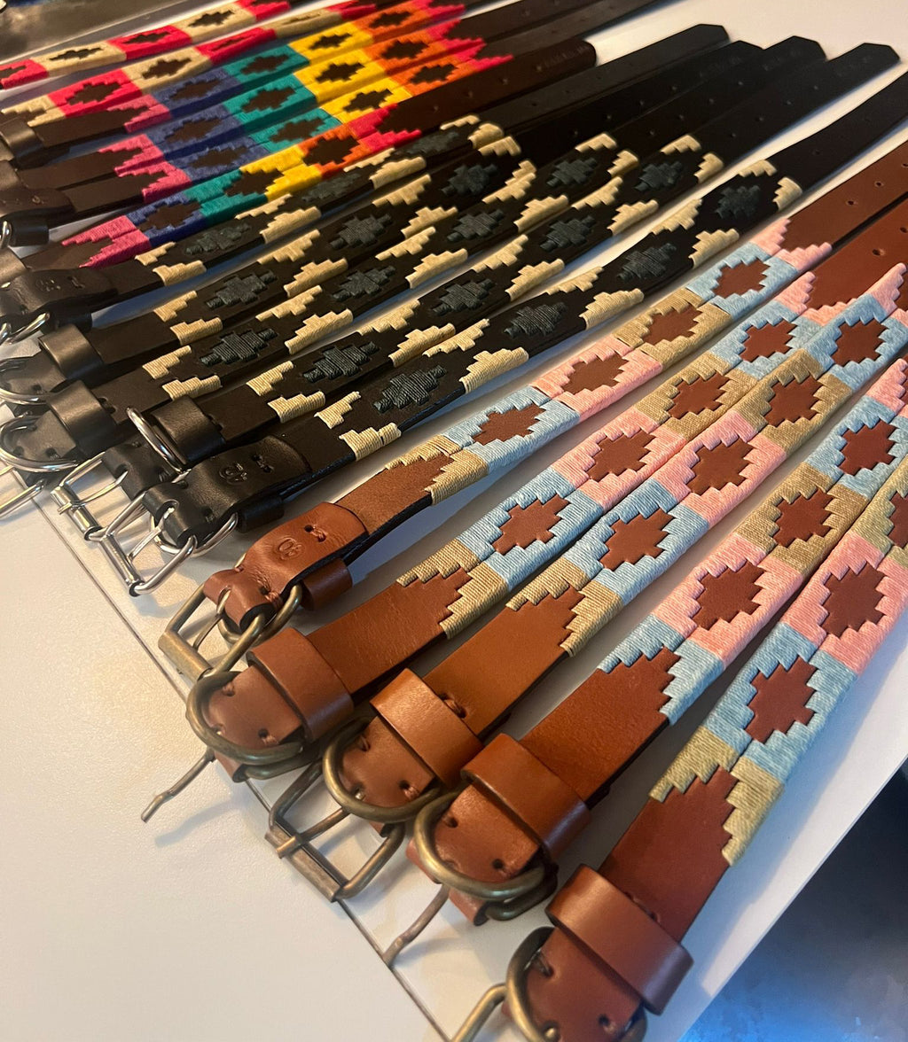 Rainbow Pride Dog Collar - Vakiano