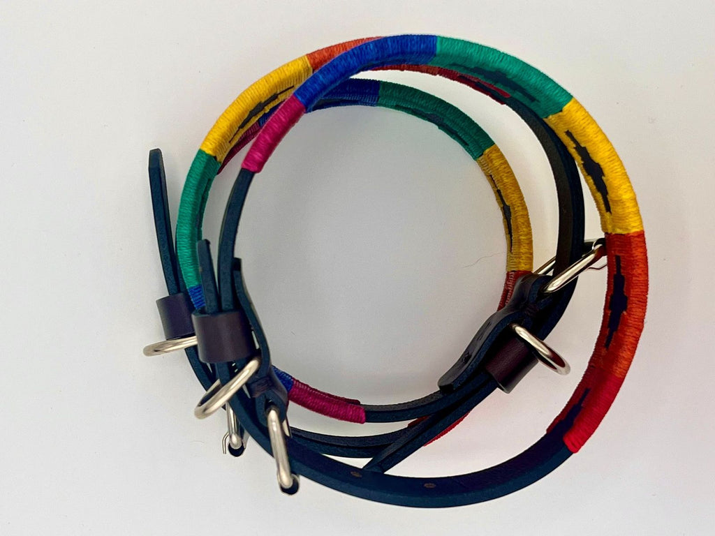 Rainbow Pride Dog Collar - Vakiano