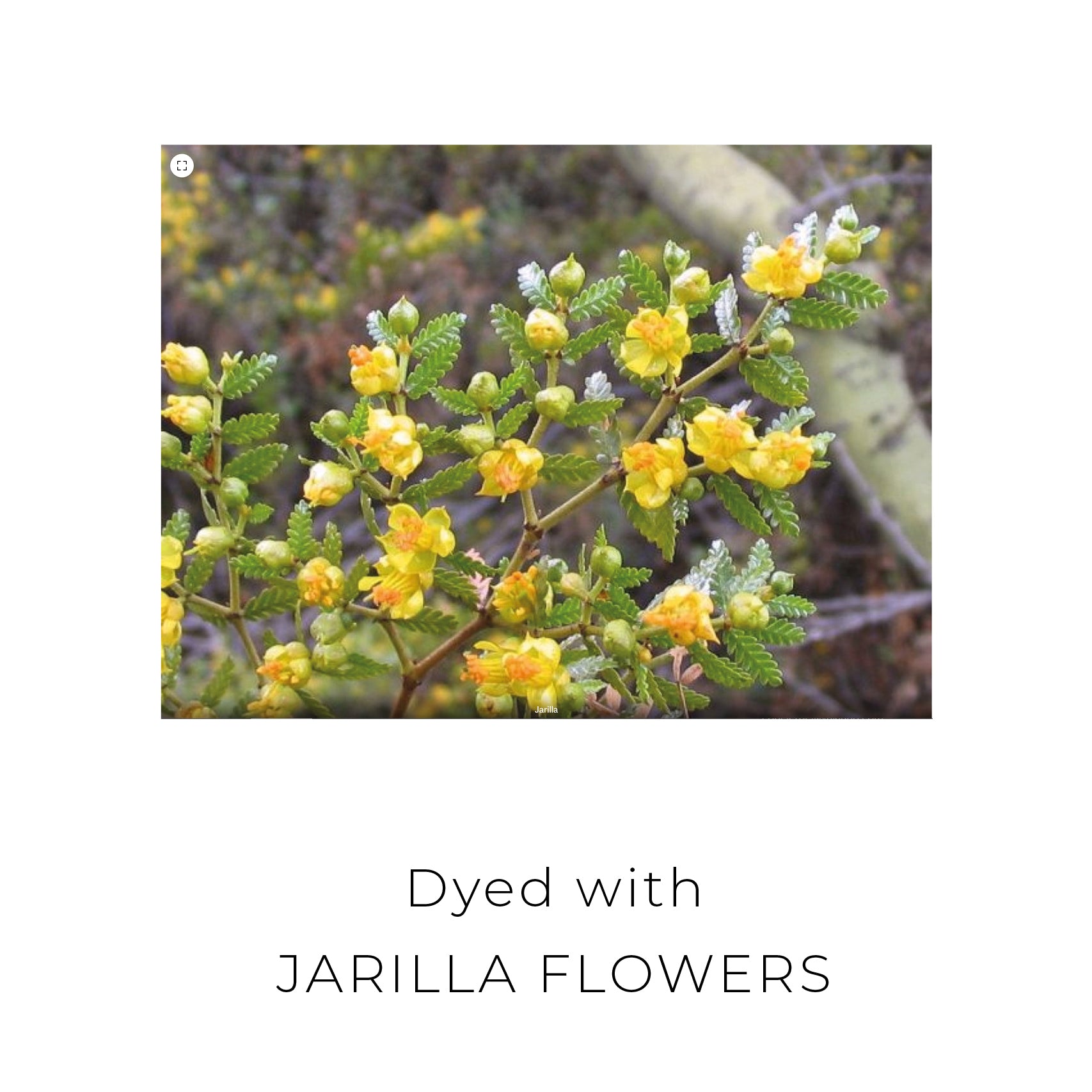 Anzulón lamb Poncho - Vakiano