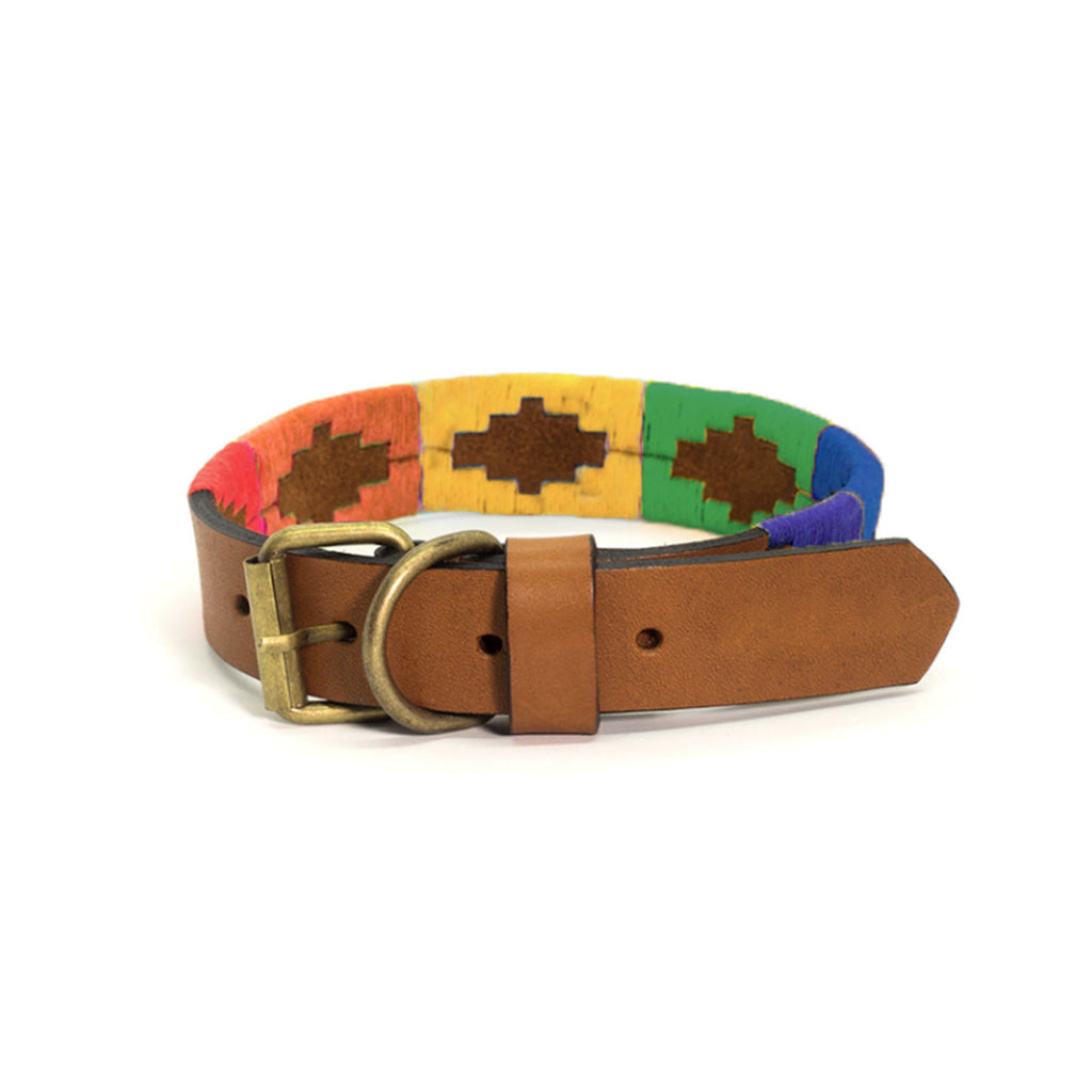 Rainbow Pride Dog Collar - Vakiano
